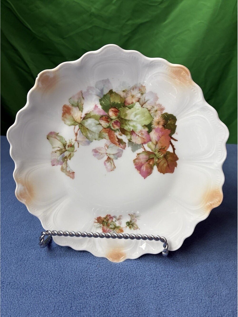 Antique Z.S. & Co Bavaria Punch Hand Painted Floral Plate